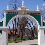 Direktor ergele izabran nezakonito? 11