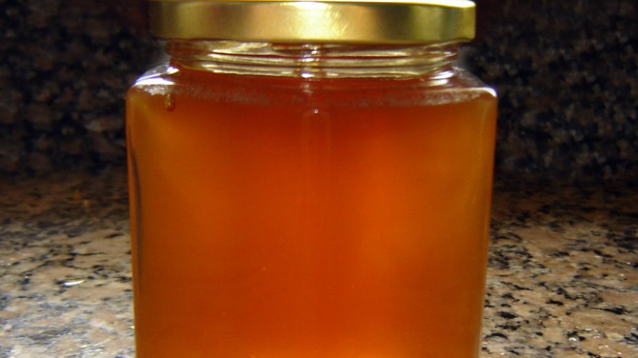  Kontrola meda i proizvoda od mesa 1