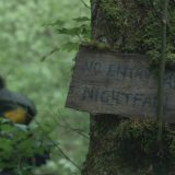 Povratak veštice iz Blera u bioskopima 10