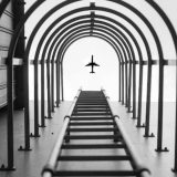 Nikonovo takmičenje za fotografiju 2