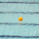 Huligani Dinama napali vaterpoliste Partizana, Dačić osudio napad 5