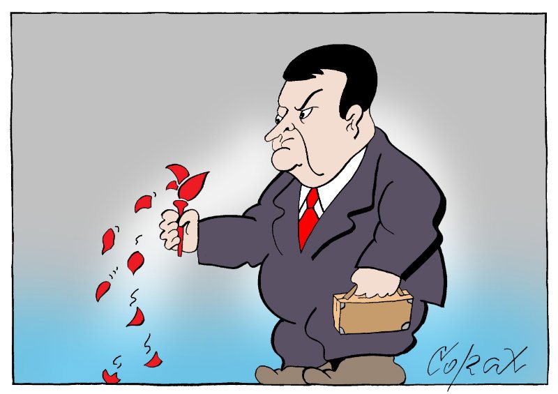 Corax 6