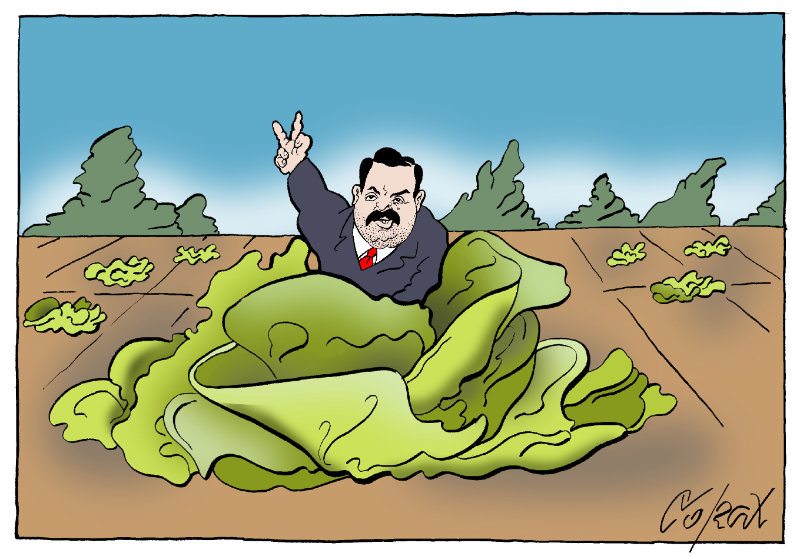 Corax 7