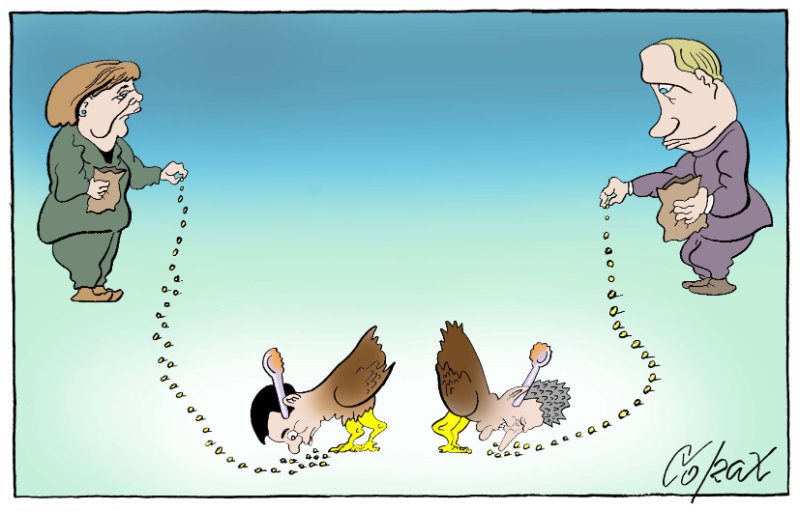 Corax 6