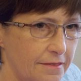 Češka traži otvaranje novih poglavlja Srbiji 2