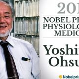 Jošinori Osumi dobitnik Nobelove nagrade za medicinu 1
