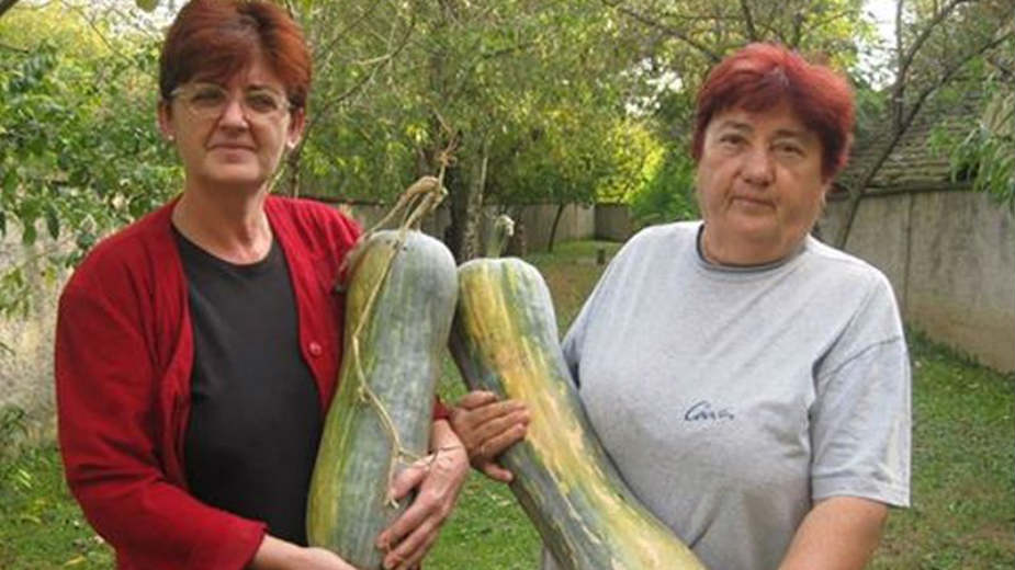 "Žuto meso", ulje i semenke za dobro zdravlje 1