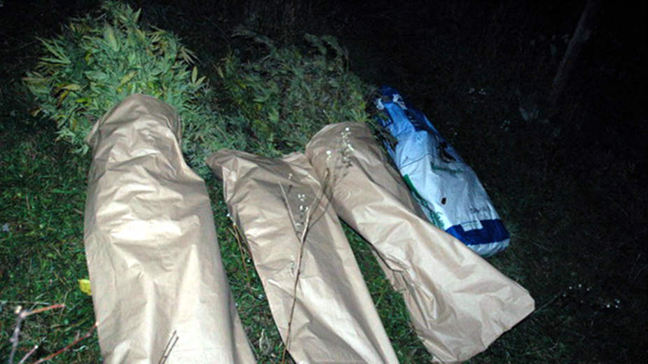 Uhapšene dve osobe i zaplenjena marihuana 1