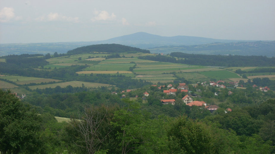 Naša okolina : Petkovača 1