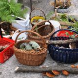 Održani Dani gljiva i bilja 10