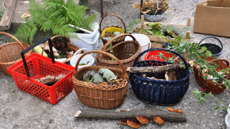 Održani Dani gljiva i bilja 1