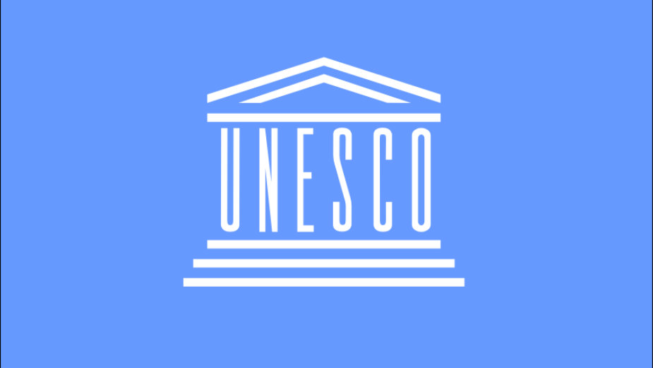 UNESCO: Politički kriminalci pritiskom na NVO sebe štite od istraživanja kriminalnih radnji 1