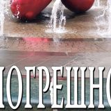 Đorđe Sibinović: Teško je zaobići pogrešne stanice 8