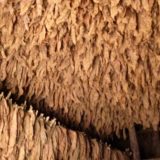 Zaplenjena 1,5 tona duvana u listu 7