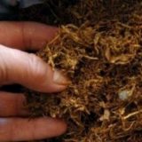 Zaplena 110 kilograma duvana 6