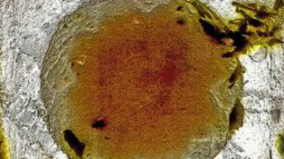 Izložba grafika Danijele Odabašić 1