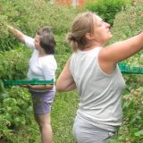 Država će podržati prerađivače voća i povrća 4