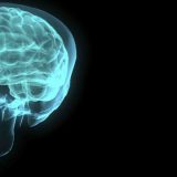 Naučnici došli do važnog saznanja: Jedna stvar ključna u predviđanju razvoja smrtonosnog tumora na mozgu 5