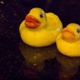 U Nišu formiran Građanski front Srbije 12