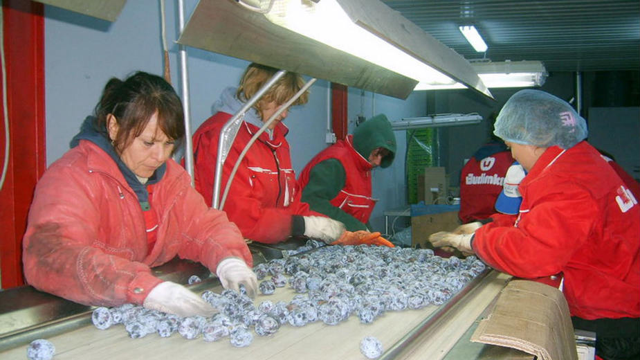 Ko „gleda kroz prste“ bivšem vlasniku Budimke 1