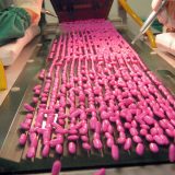 Jugoremedija - proglašen bankrot 11