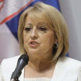 Đukić Dejanović: Do aprila izmene zakona o podršci porodica sa decom 7
