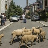 Drama koja prethodi onoj ispred kamera 11