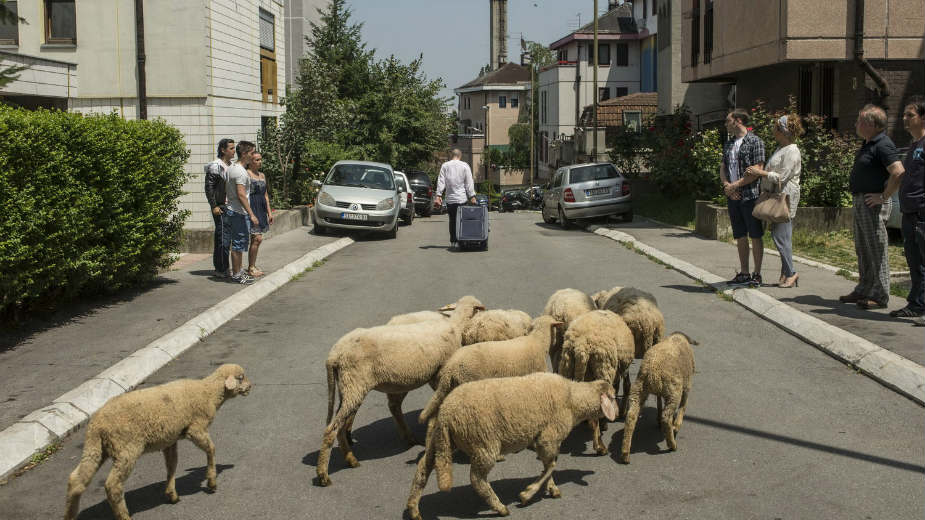 Drama koja prethodi onoj ispred kamera 1 Drama koja prethodi onoj ispred kamera 1