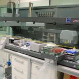 DNK ne vodi ka počiniocima 3