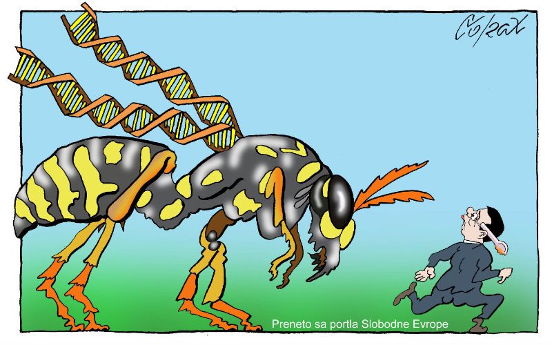 Corax 12
