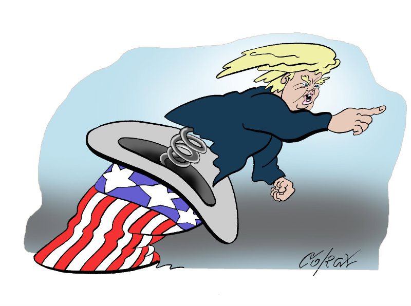 Corax 6