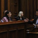 Radikali nisu dozvolili Davenportu da predstavi izveštaj 3