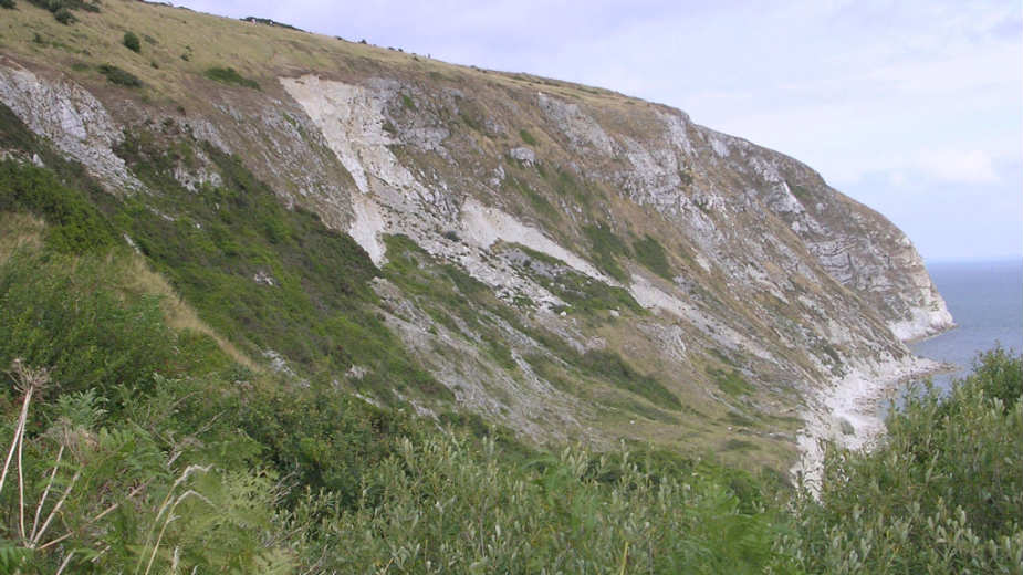 Silna moć reklame 1 Silna moć reklame 1