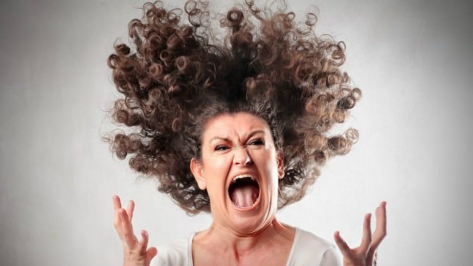 Bes kao stvar izbora 2