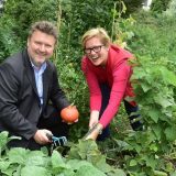 Povrće iz komšiluka 9