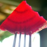 Cvekla je crveno blago 11