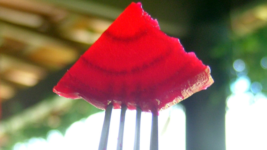 Cvekla je crveno blago 1