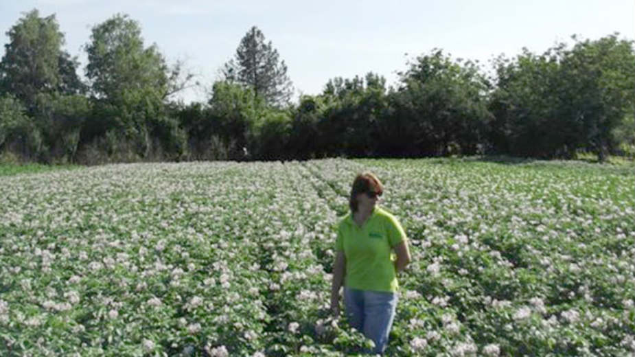 Kako utoliti glad za organik hranom 1