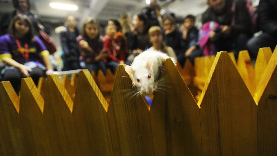 Eksperimenti za čistu desetku 2