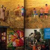 TOS: Kineski mediji već bruje o Srbiji 12