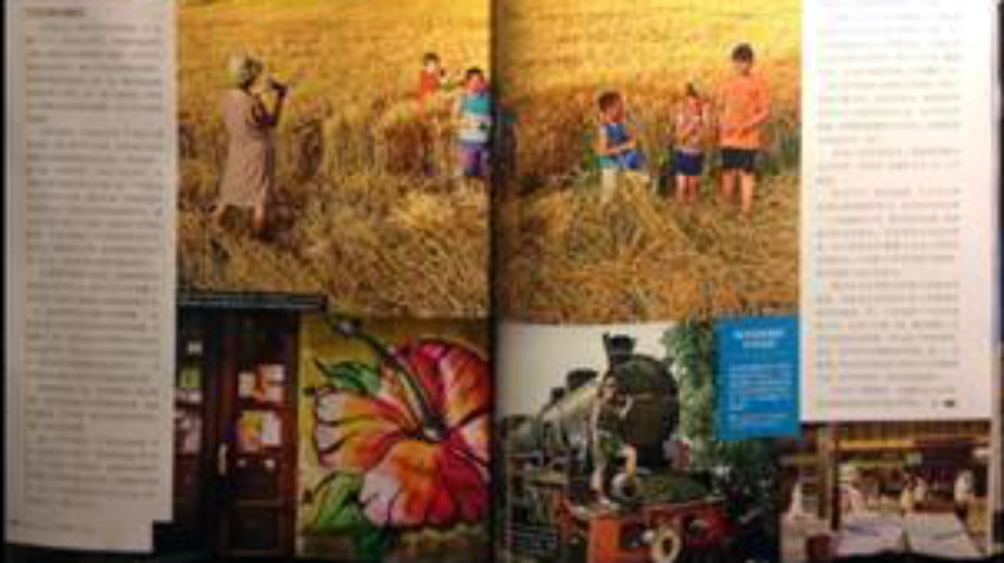 TOS: Kineski mediji već bruje o Srbiji 1