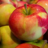 Podelio 50 tona jabuka 1