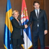 Đurić: Nema više izgovora za odlaganje ZSO 12