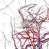 Vodič za prevenciju, lečenje i rehabilitaciju 3