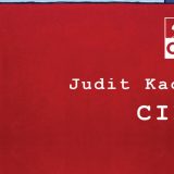 Dokumentarni roman o ljubavi kakvih više nema 4