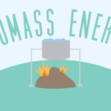Ne koristimo dovoljno biomasu 3