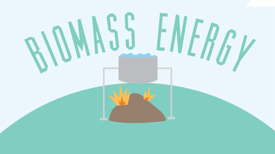 Ne koristimo dovoljno biomasu 1