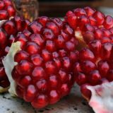 Prirodni vitamini ove jeseni 15