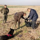 Novi slučajevi trovanja ptica 6