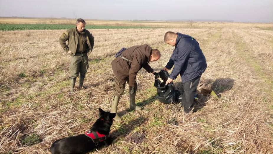 Novi slučajevi trovanja ptica 1
